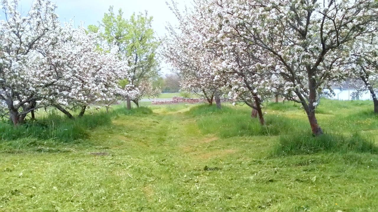 Safar Residence Hrachoviste Dış mekan fotoğraf